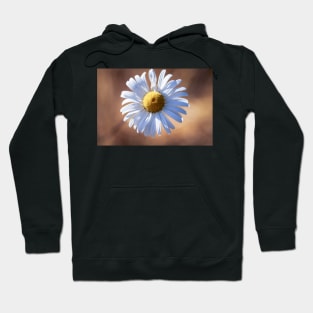 Close-up of a daisy Hoodie